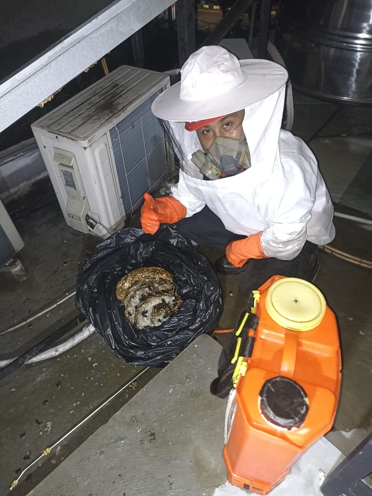 Jasa Pembasmi Sarang Tawon di Bandung Bekasi dan Jogja