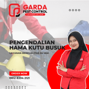 Jasa Pembasmi Kutu Kasur Terdekat di Tangerang