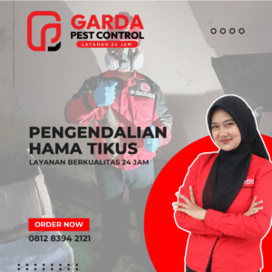 Pembasmi Tikus Terdekat di Tangerang