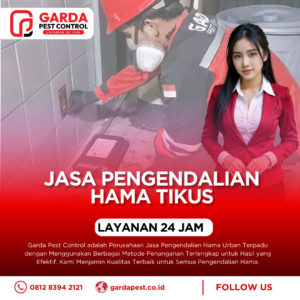 Jasa Pembasmi Tikus di Tangerang Selatan : Jaga Estetika & Kebersihan Properti