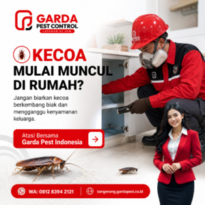 Jasa Pengendalian Kecoa Tangerang Aman dan Profesional